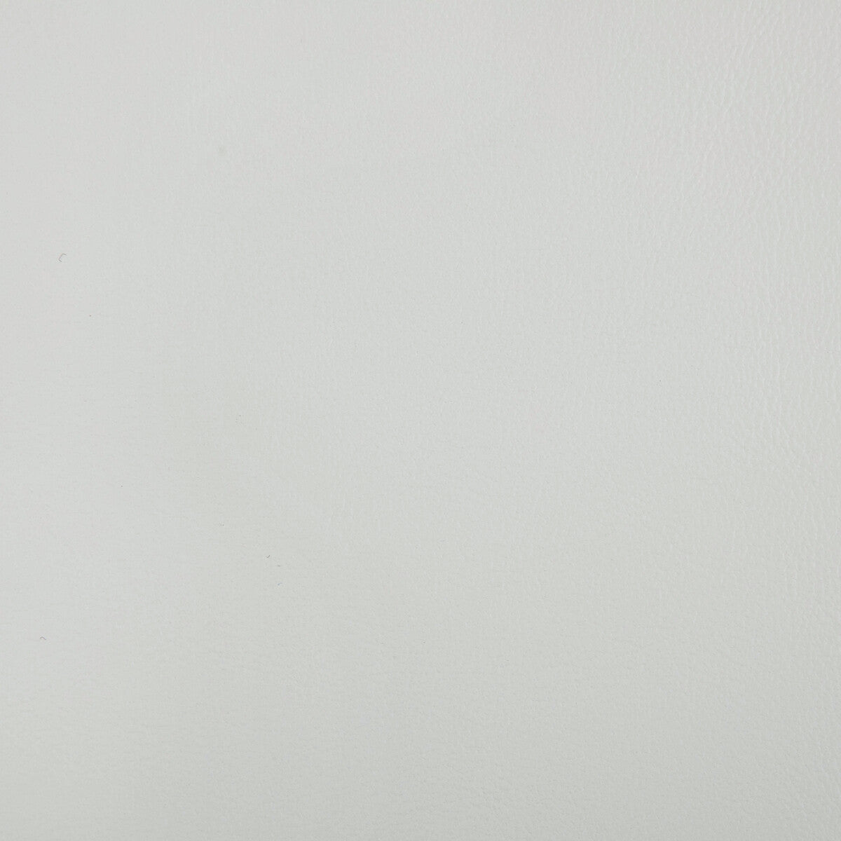 Rand-Cloud