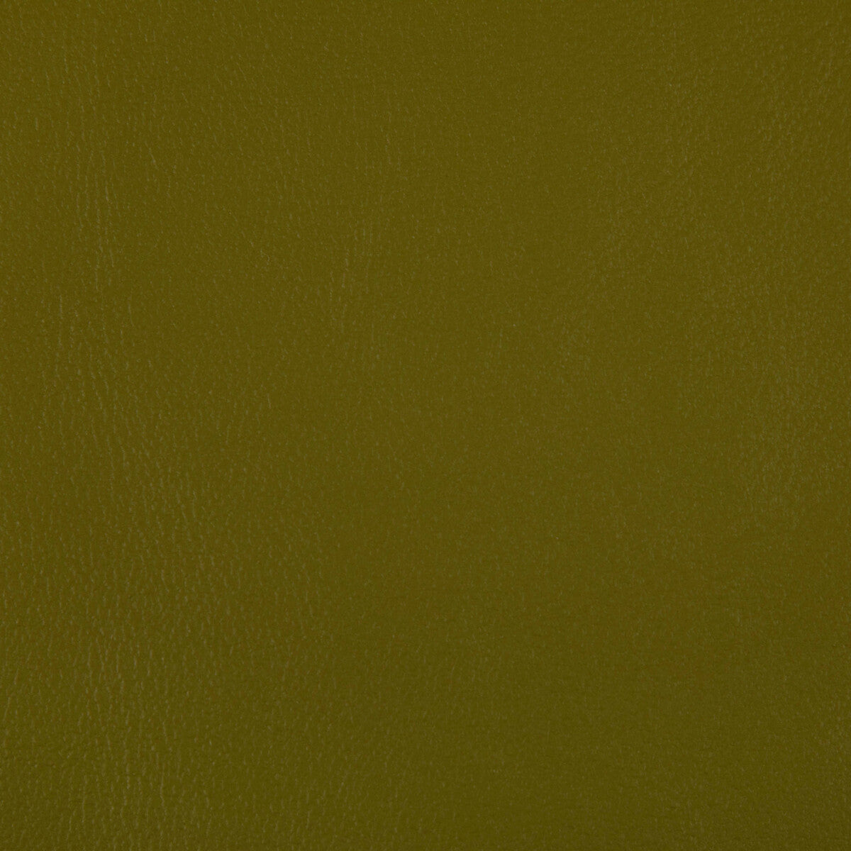 Rand-Wasabi