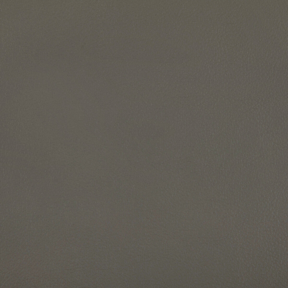 Rand-Greystone