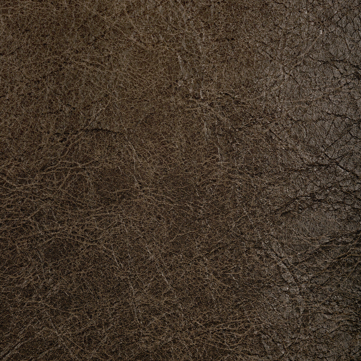 Reboot-Walnut