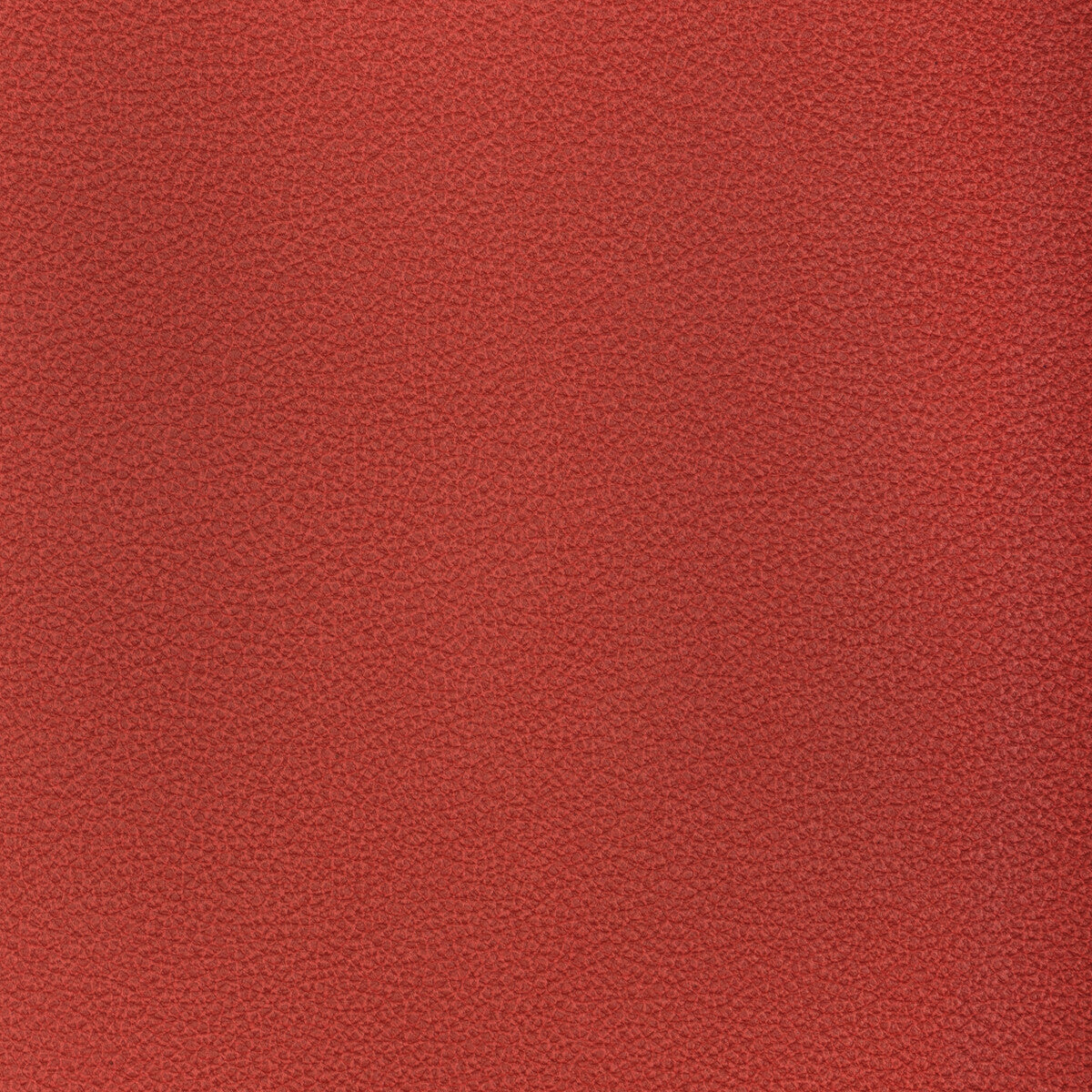 Reset-Raspberry