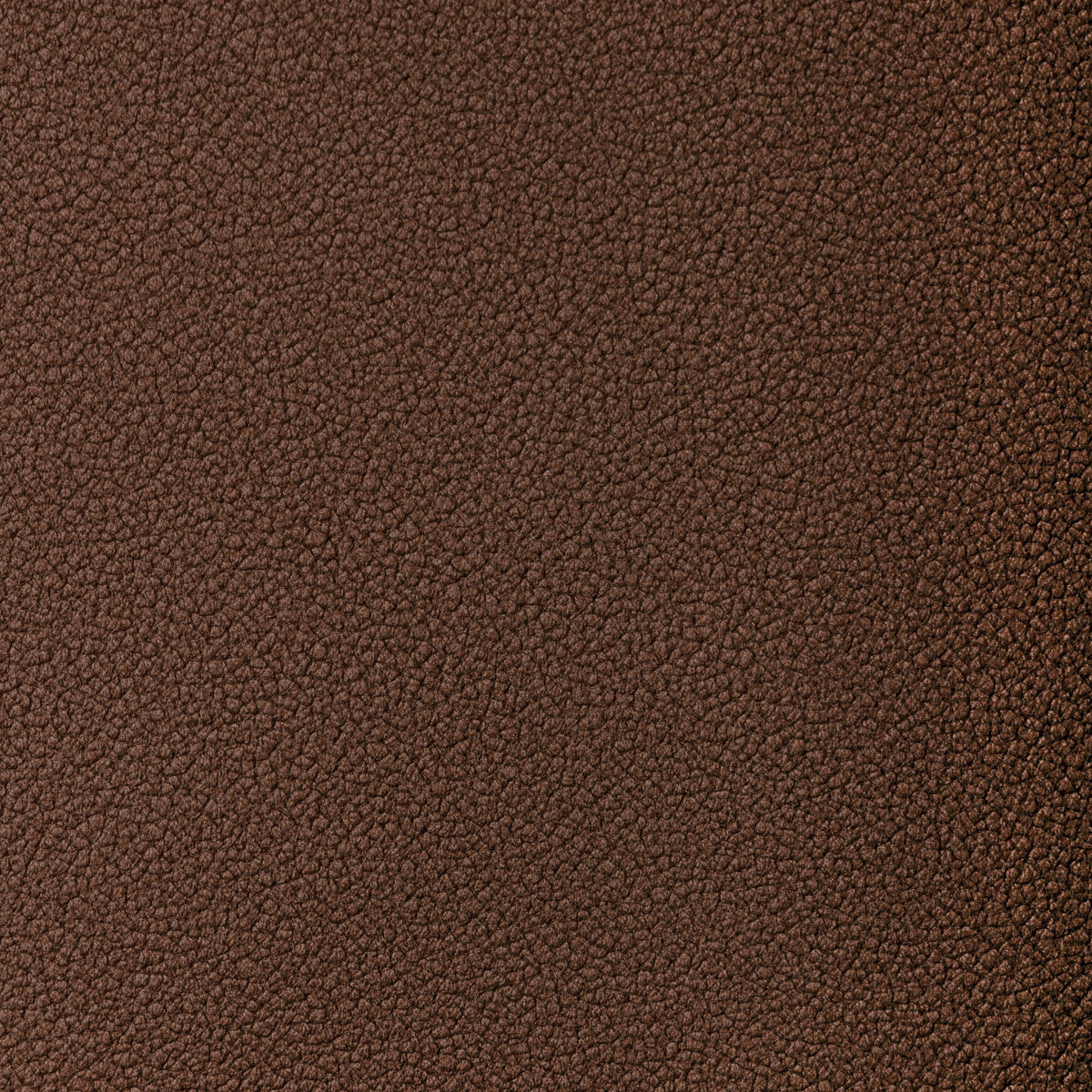 Reset-Umber