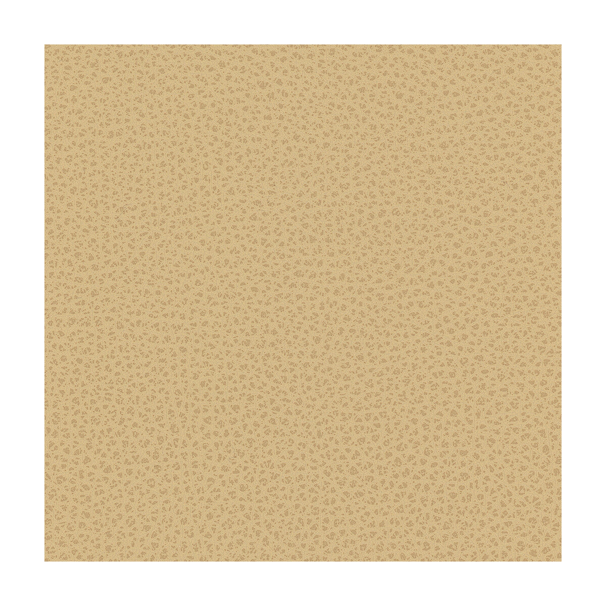 Kravet Design-Rigel-16