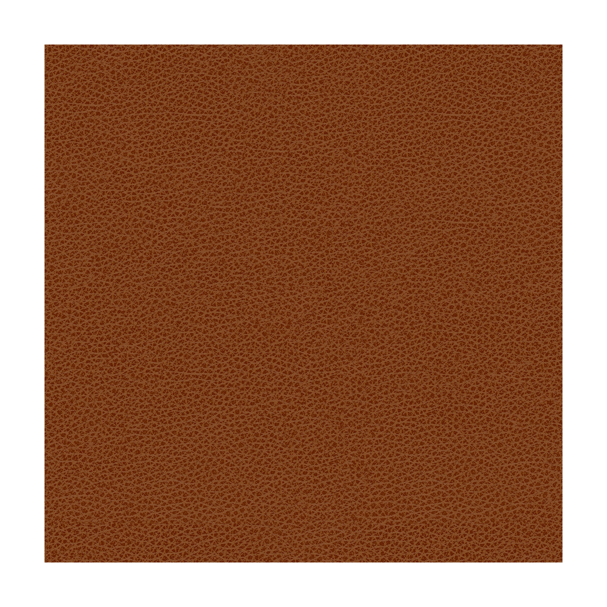 Kravet Design-Rigel-24