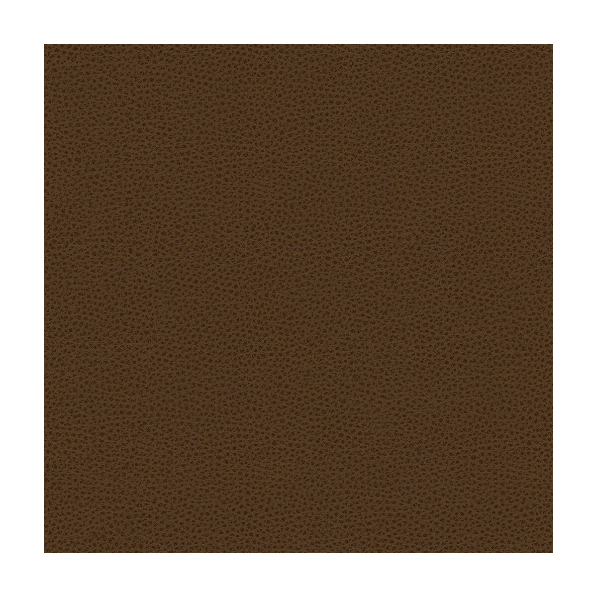 Kravet Design-Rigel-6