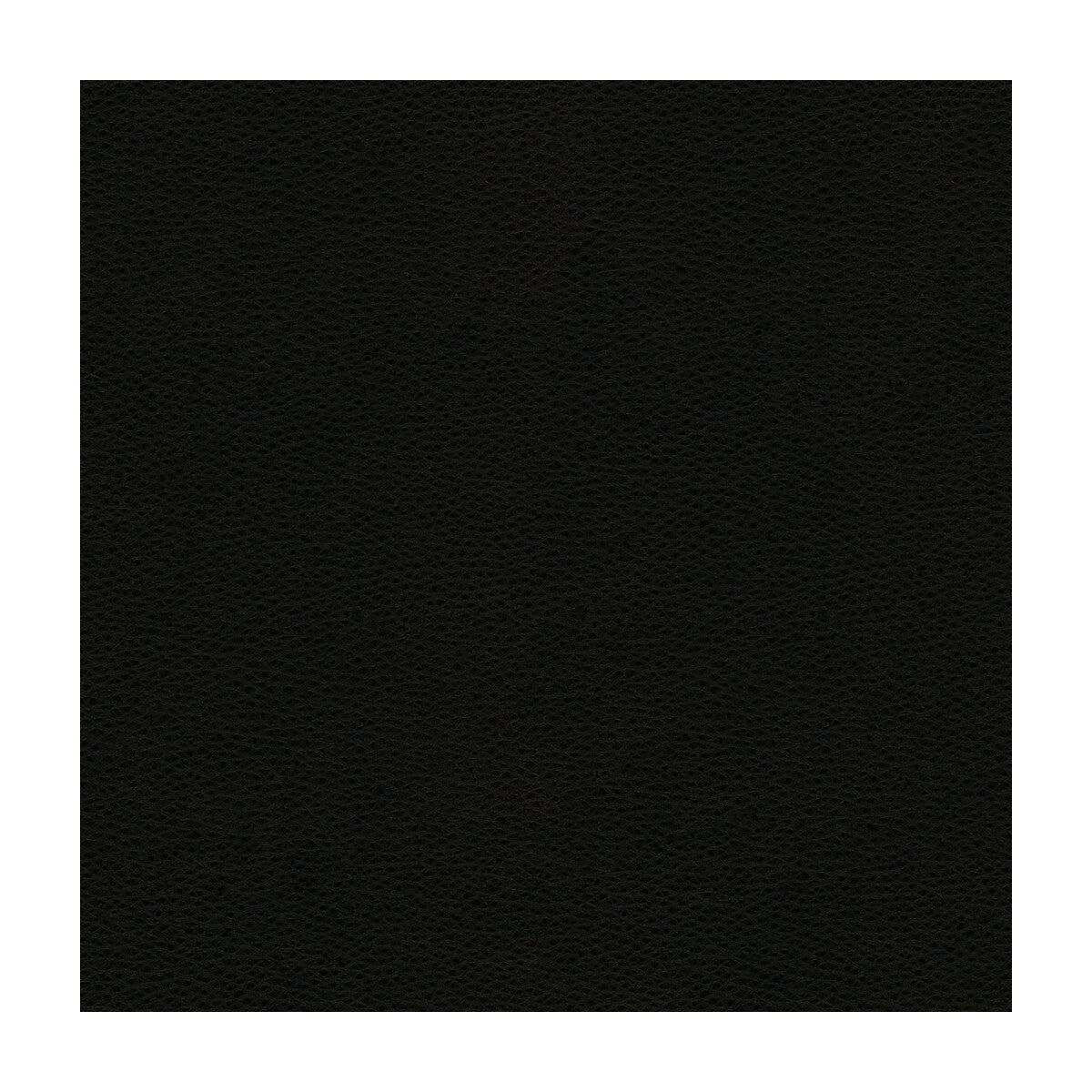 Kravet Design-Rigel-8