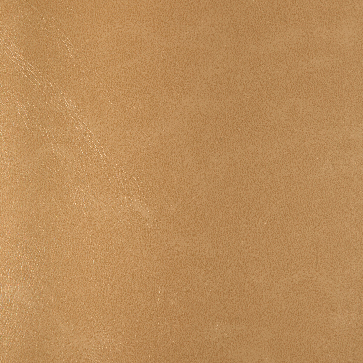 Kravet Design-Rind-116