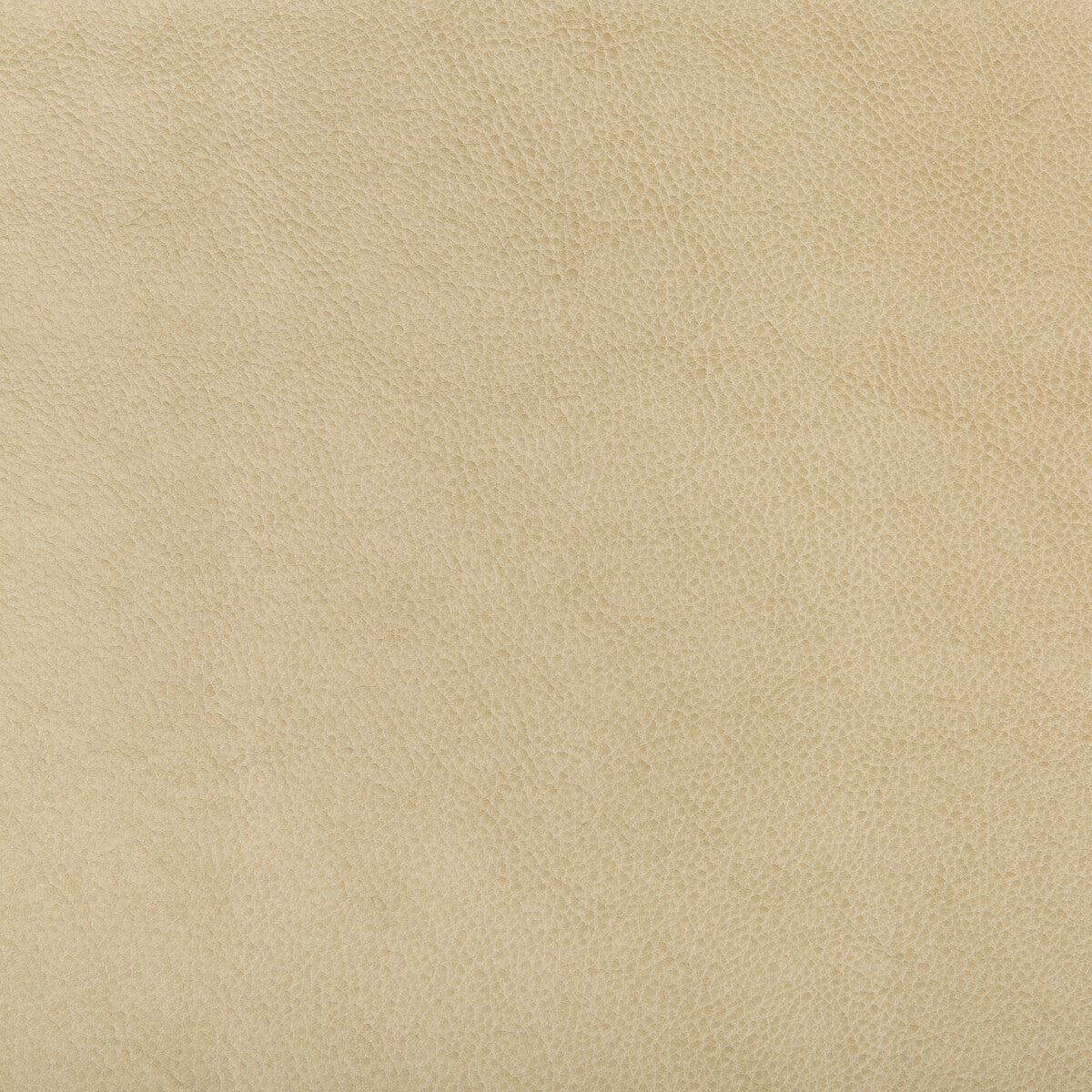 Kravet Design-Ruffian-16