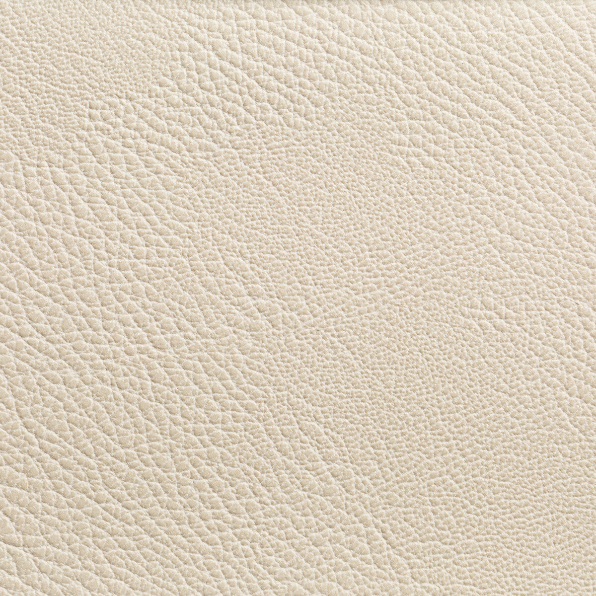 Rustler-Gypsum