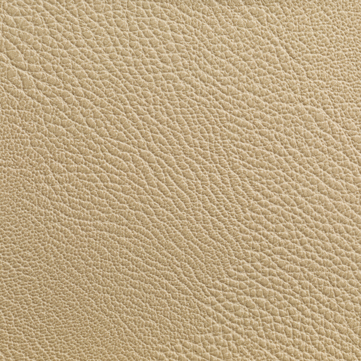 Rustler-Wheat