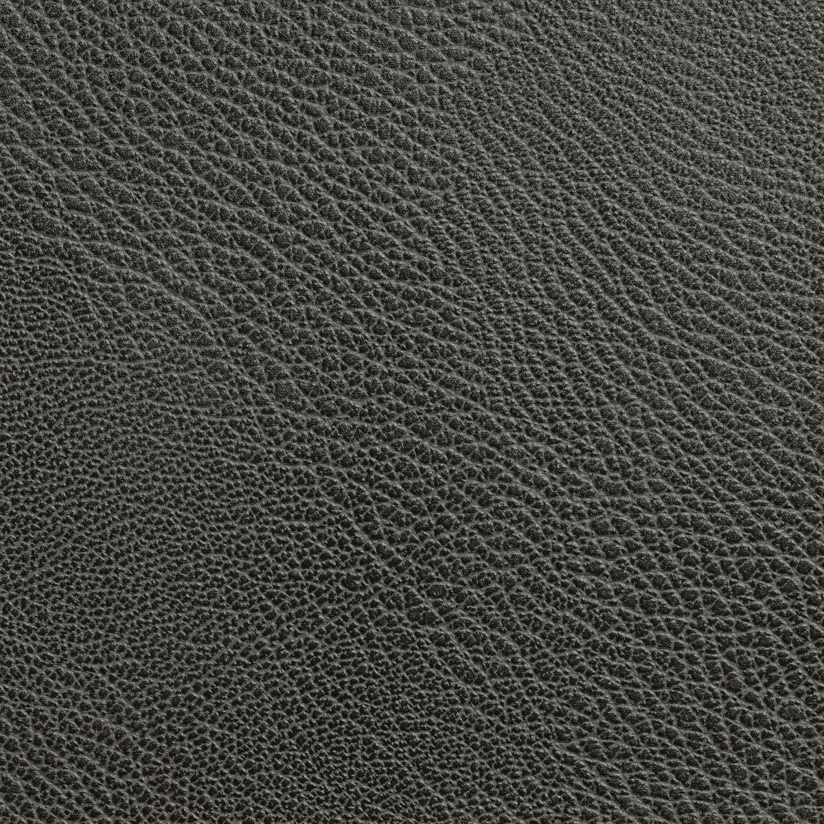 Rustler-Charcoal