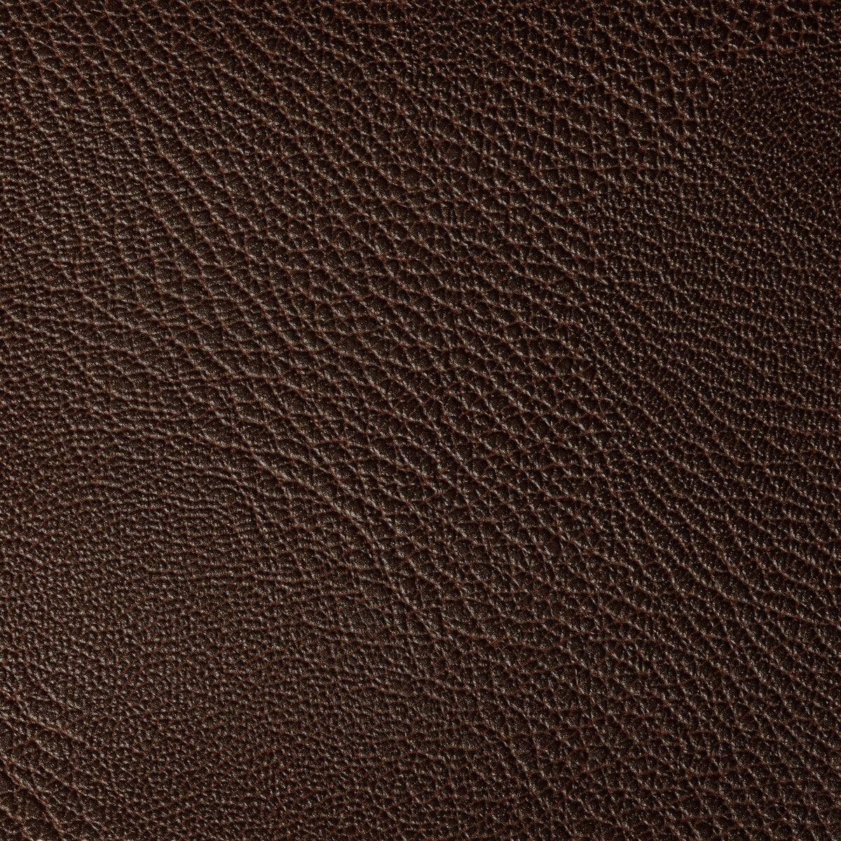 Rustler-Bark