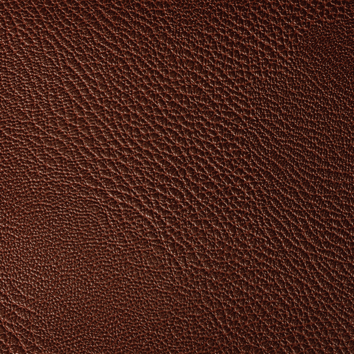 Rustler-Port
