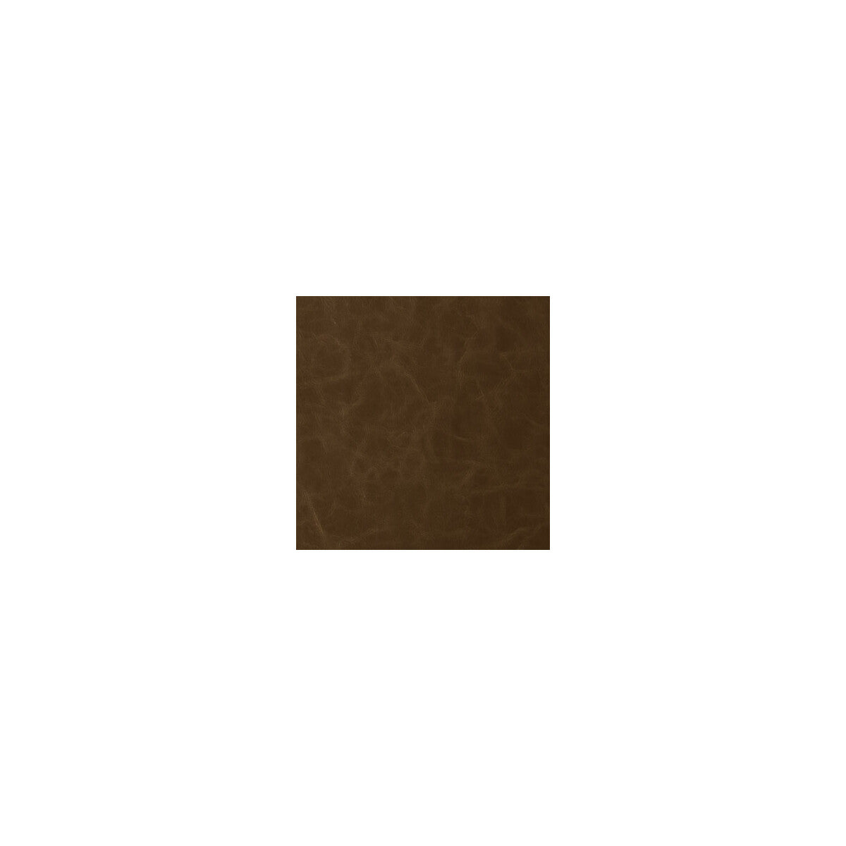 Santina-Walnut