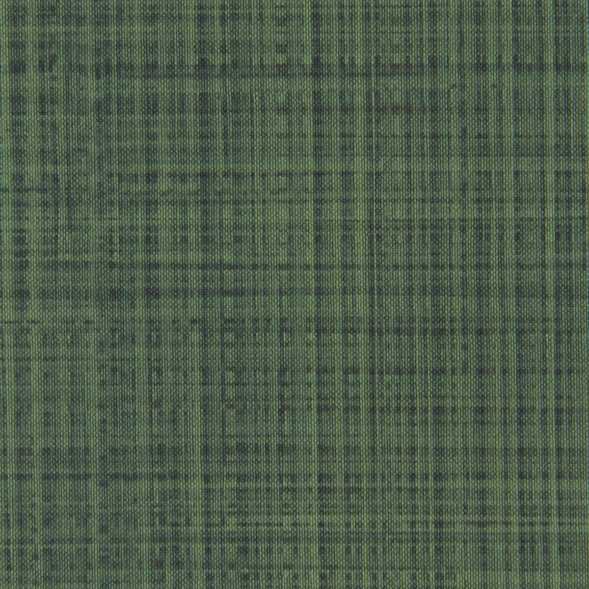 Satellite-Forest