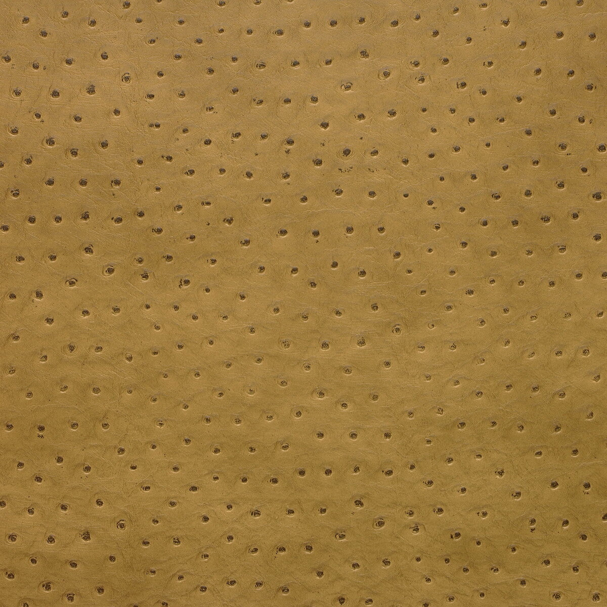 Kravet Design-Senna-4