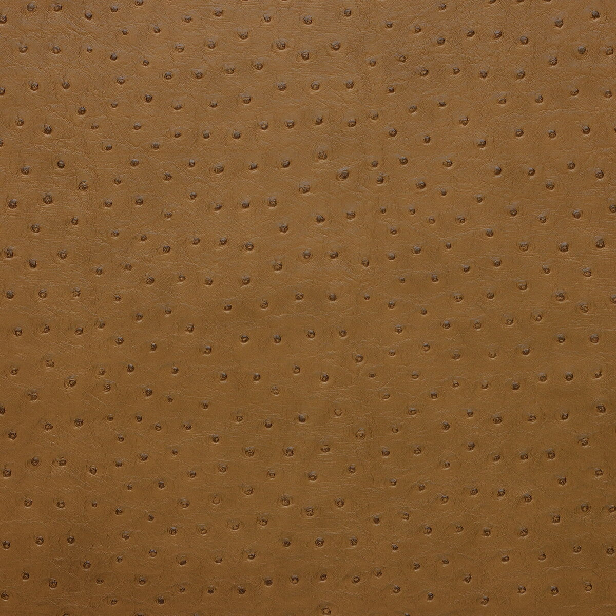 Kravet Design-Senna-616