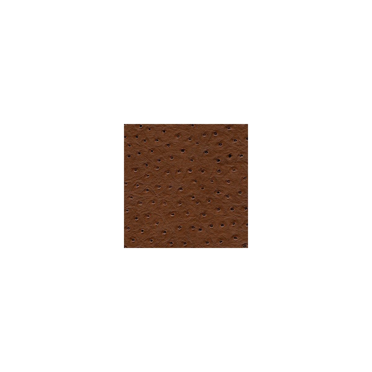 Kravet Design-Senna-6