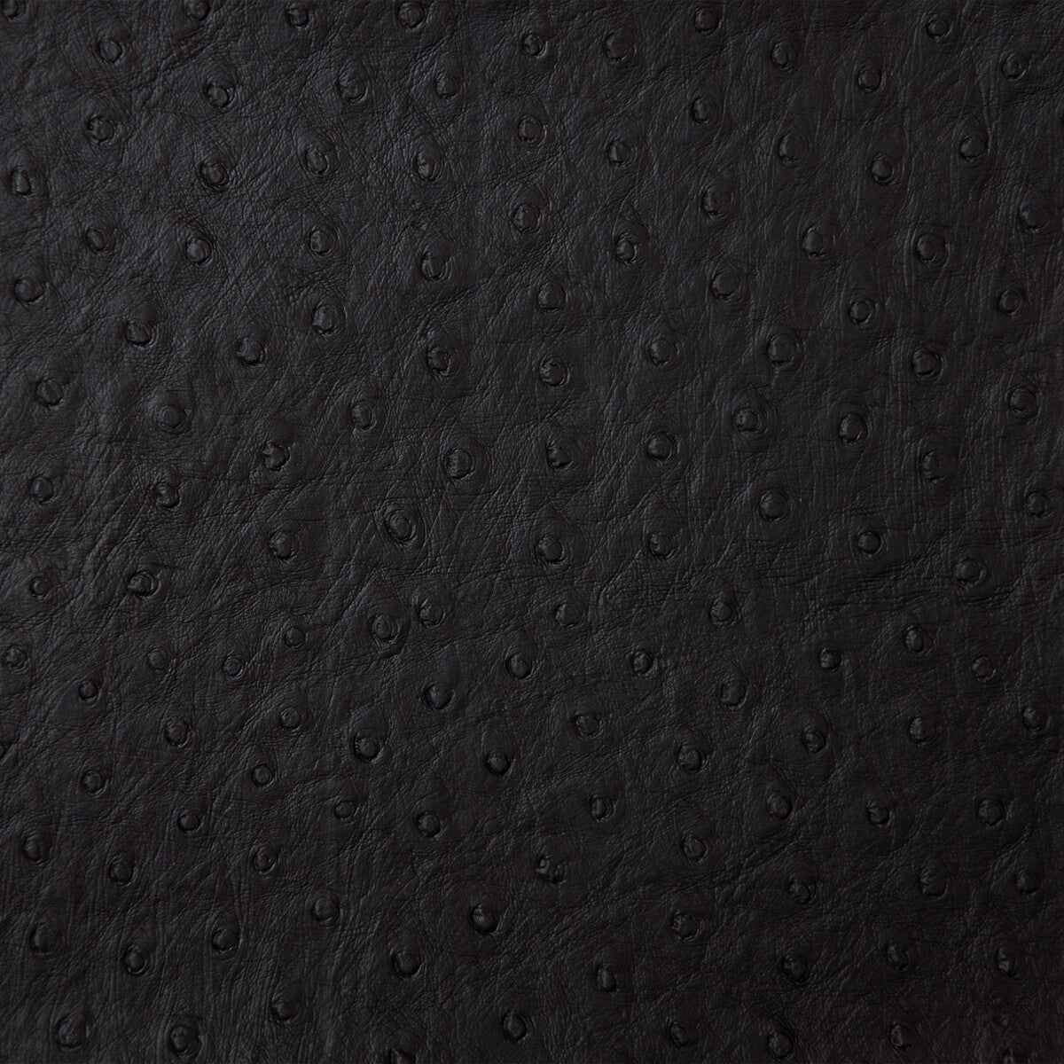 Kravet Design-Senna-8