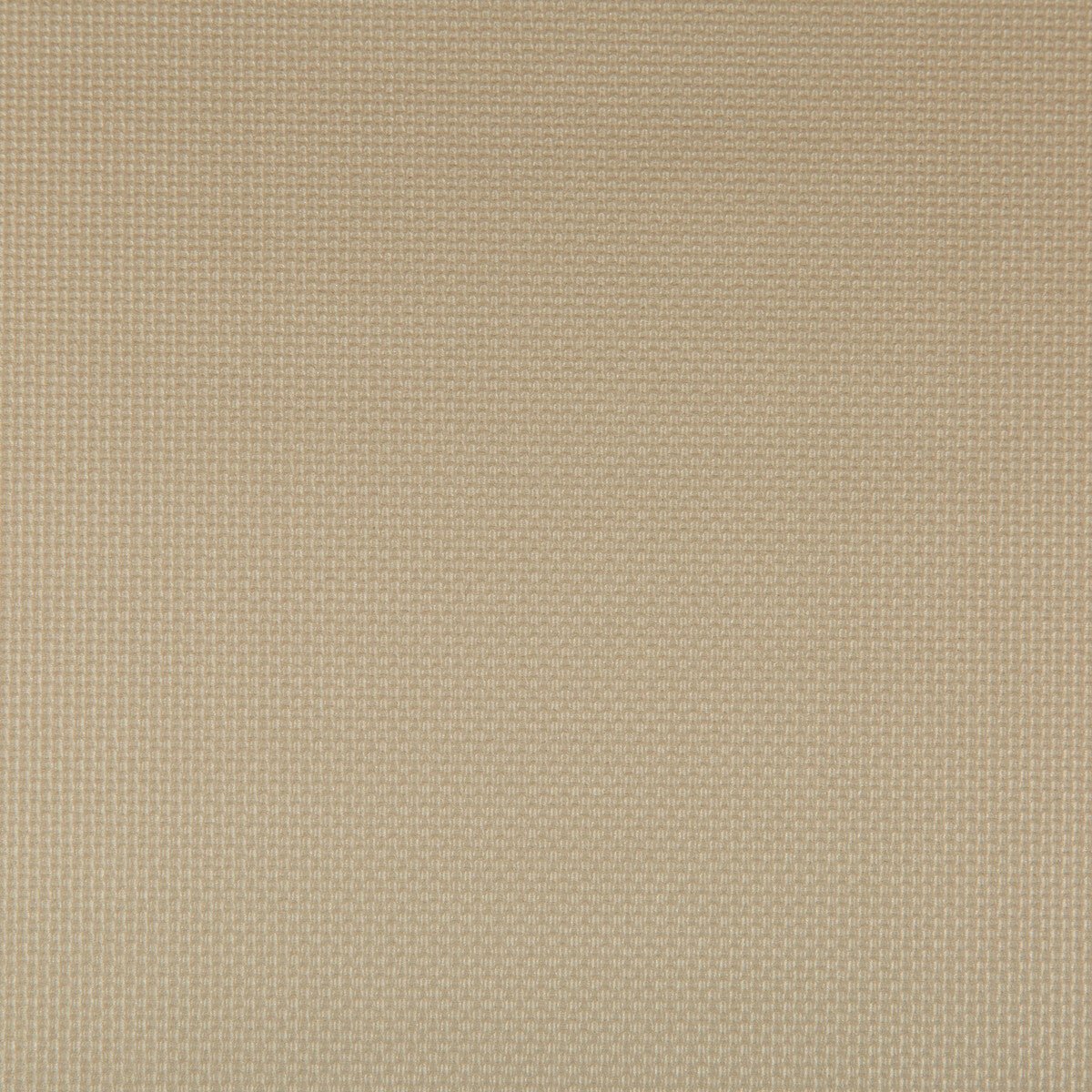Sidney-Bronze