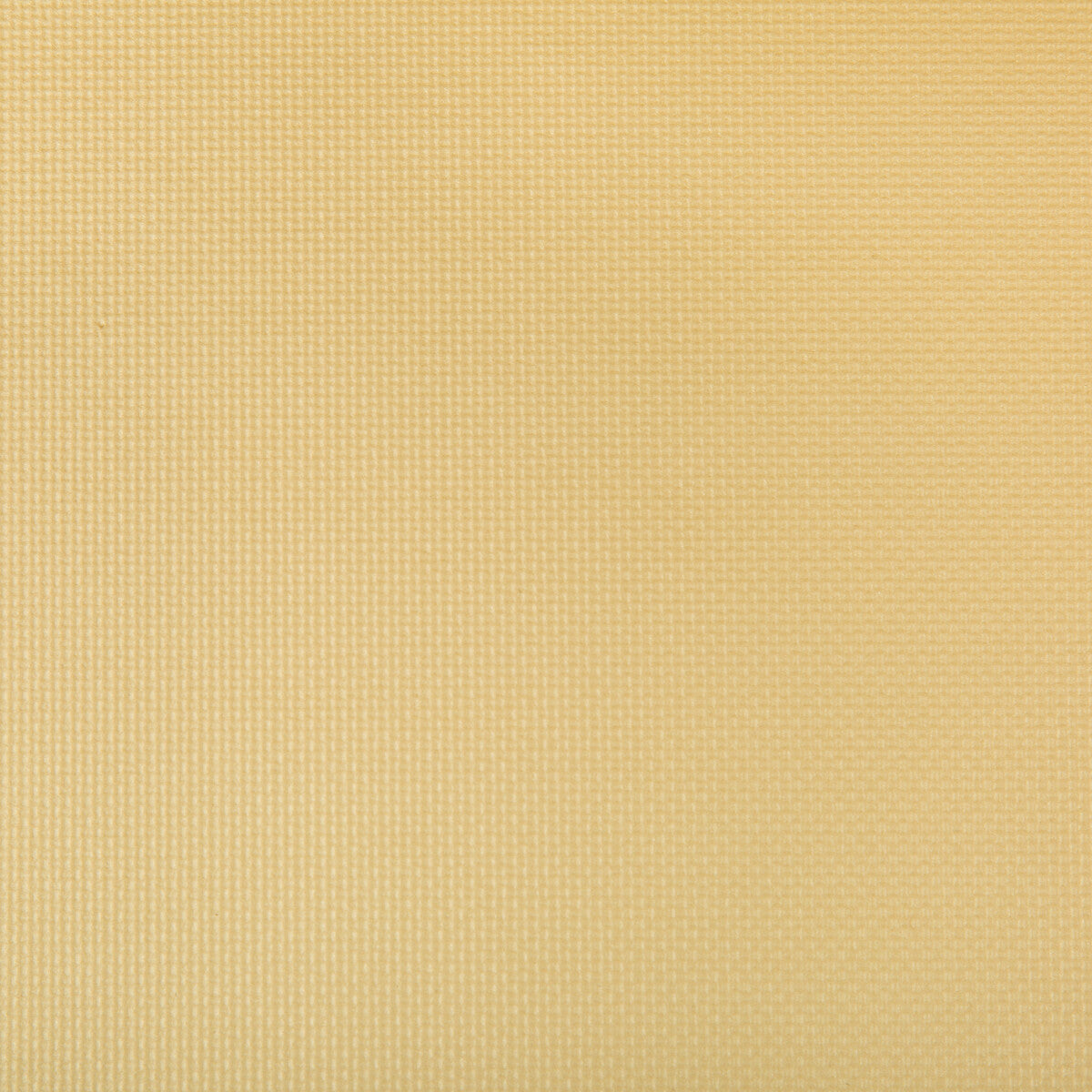 Sidney-Soft Gold