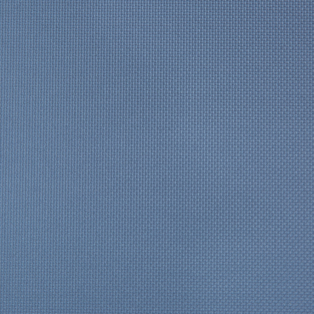 Sidney-Blueberry