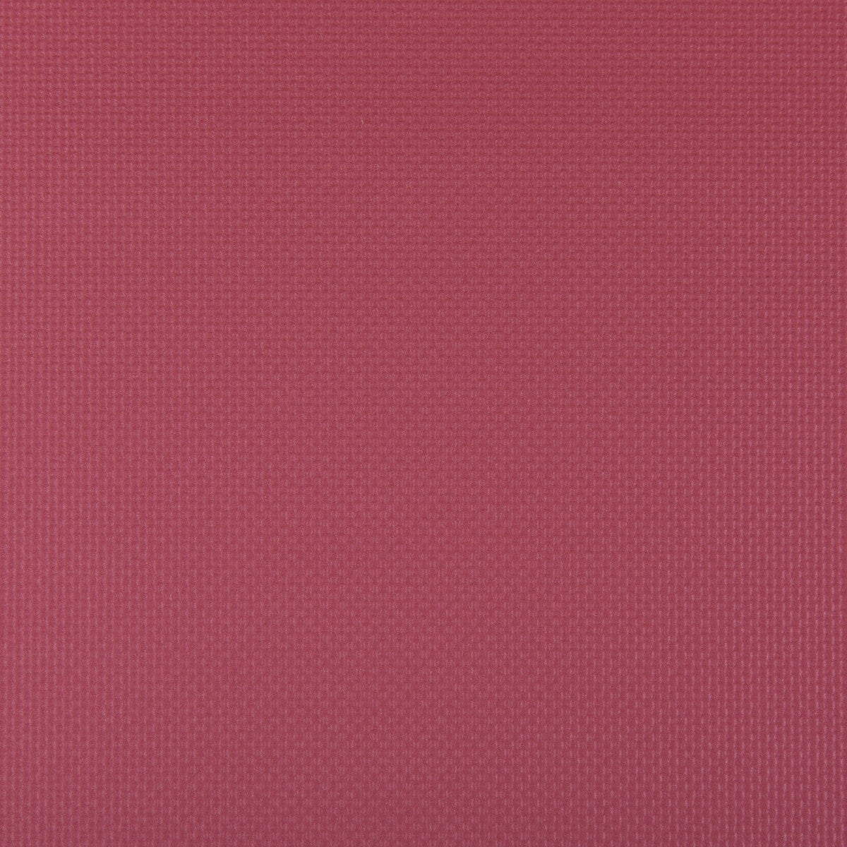 Sidney-Raspberry