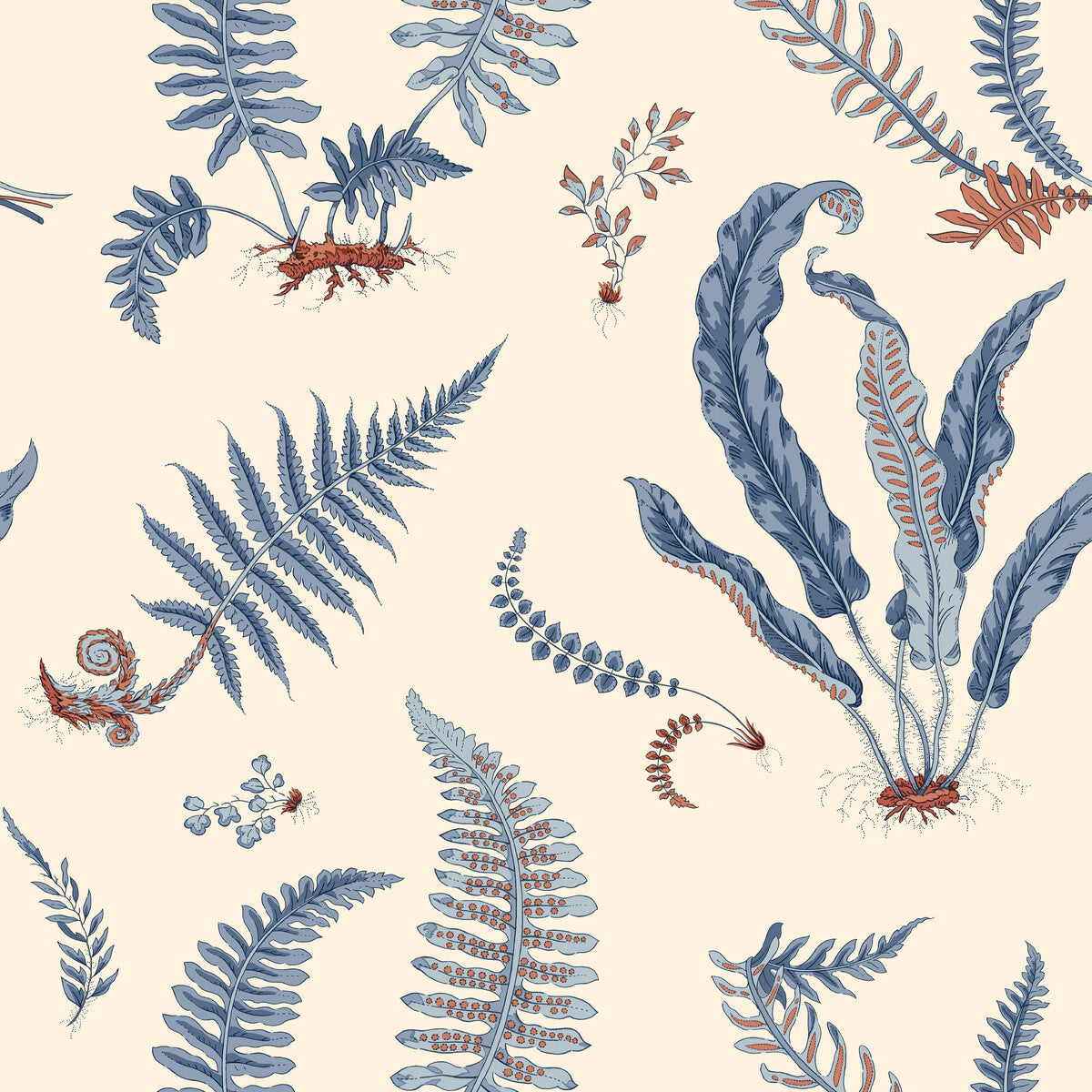 Ferns-Jubilee