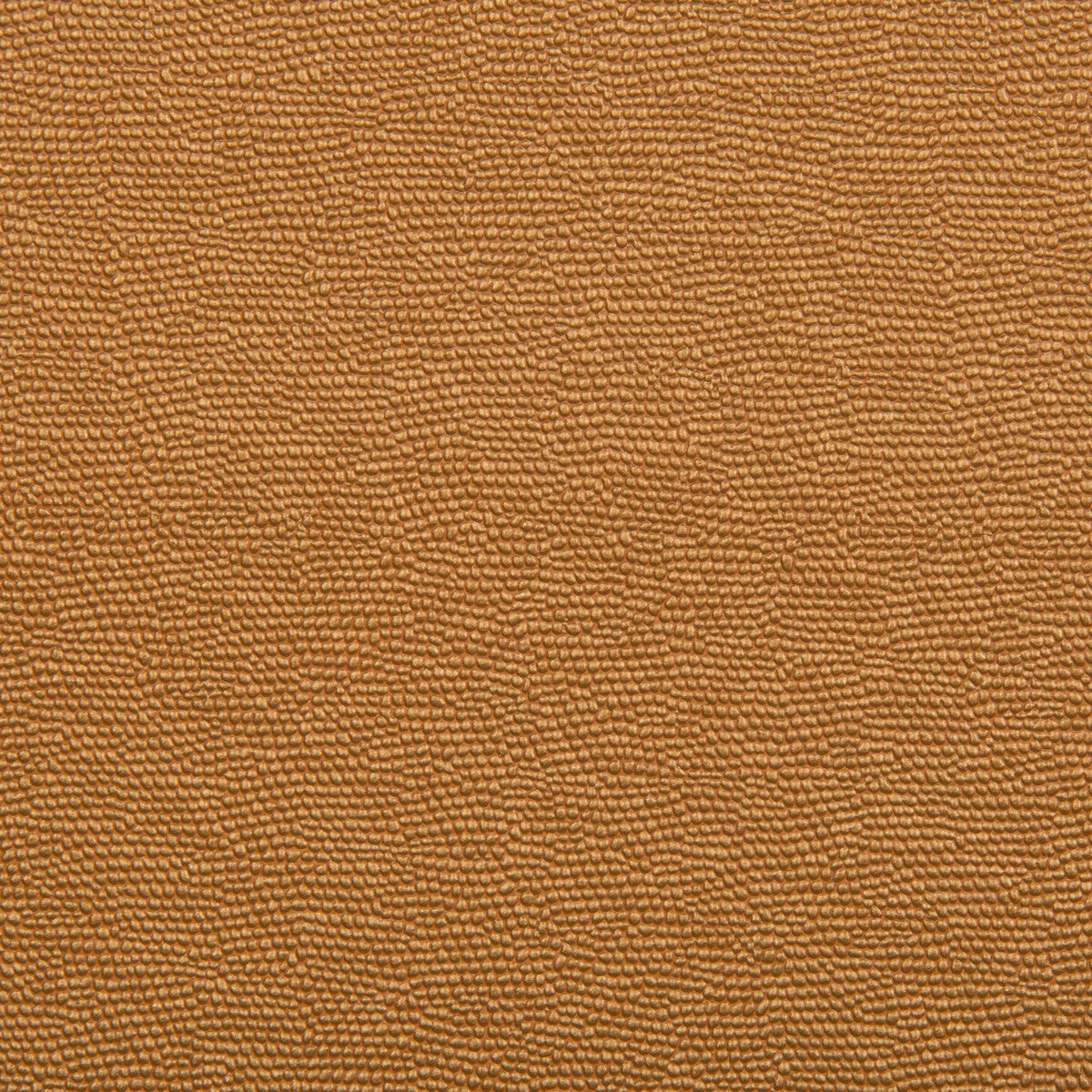 Spartan-Bronze