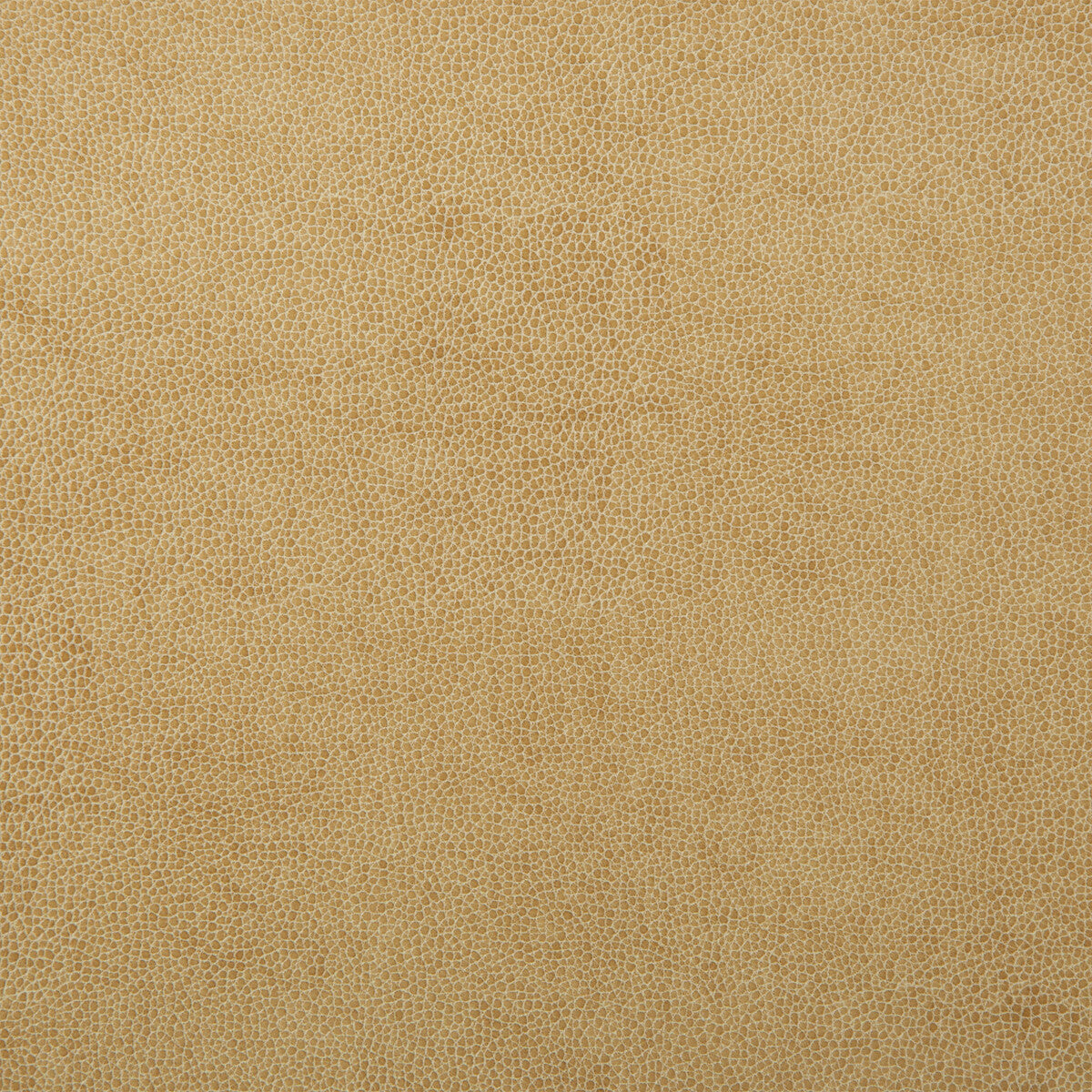Kravet Design-Sparta-1