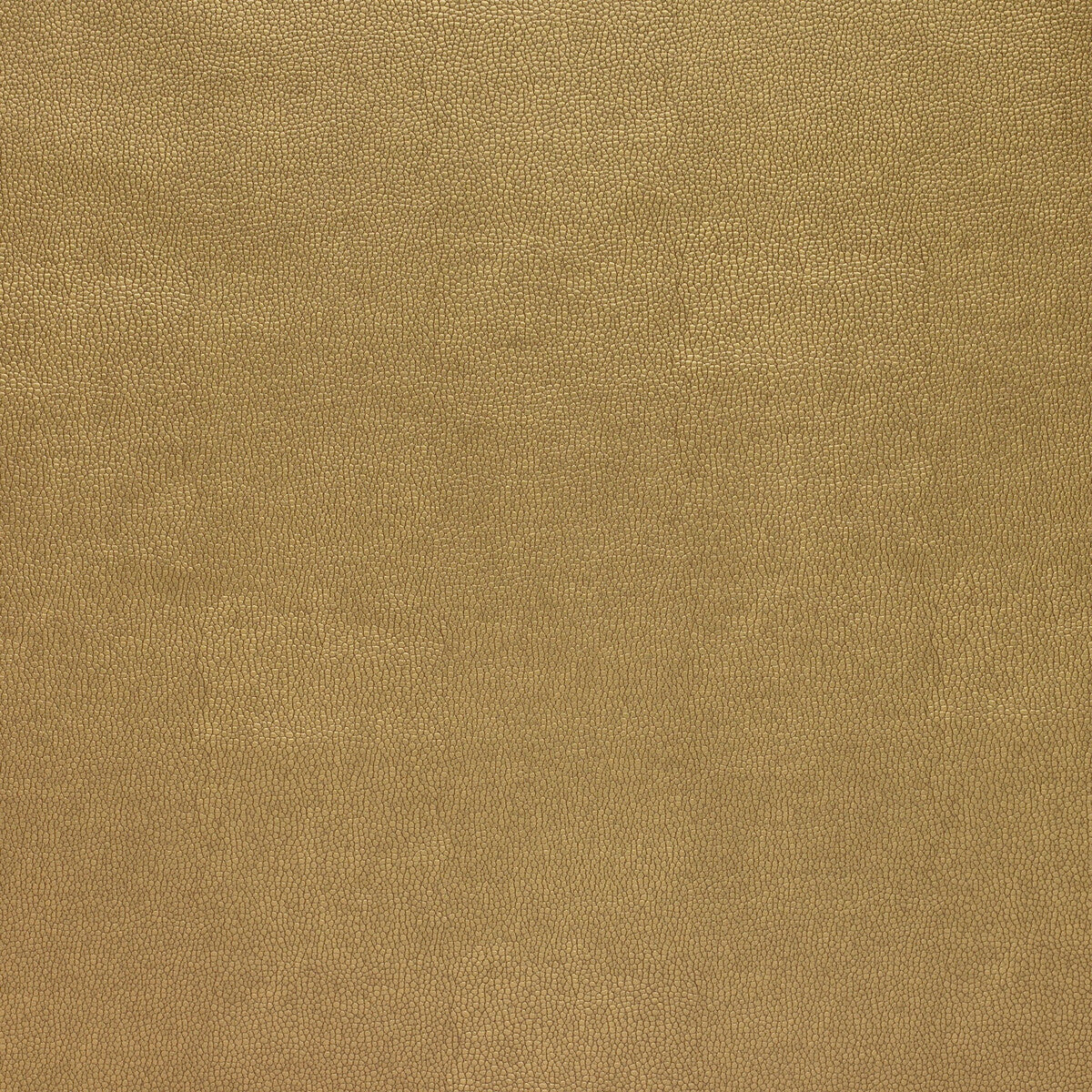 Kravet Design-Sparta-404
