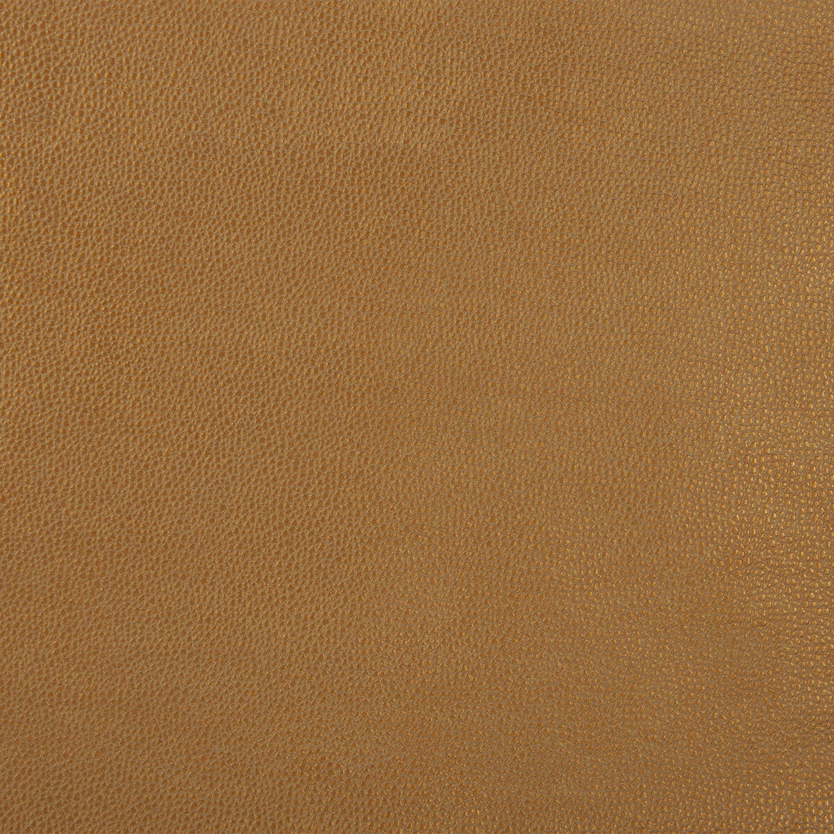 Kravet Design-Sparta-4