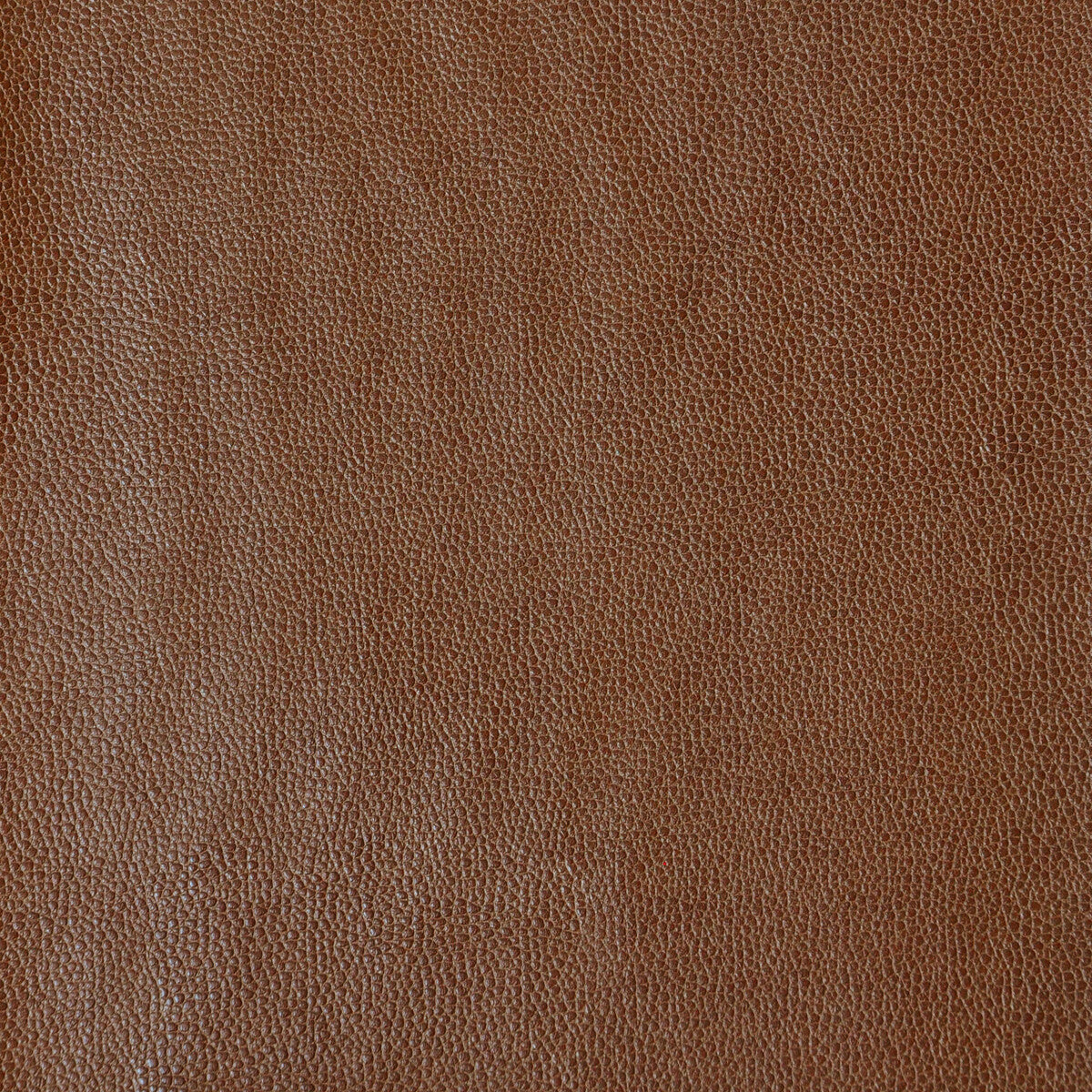 Kravet Design-Sparta-616