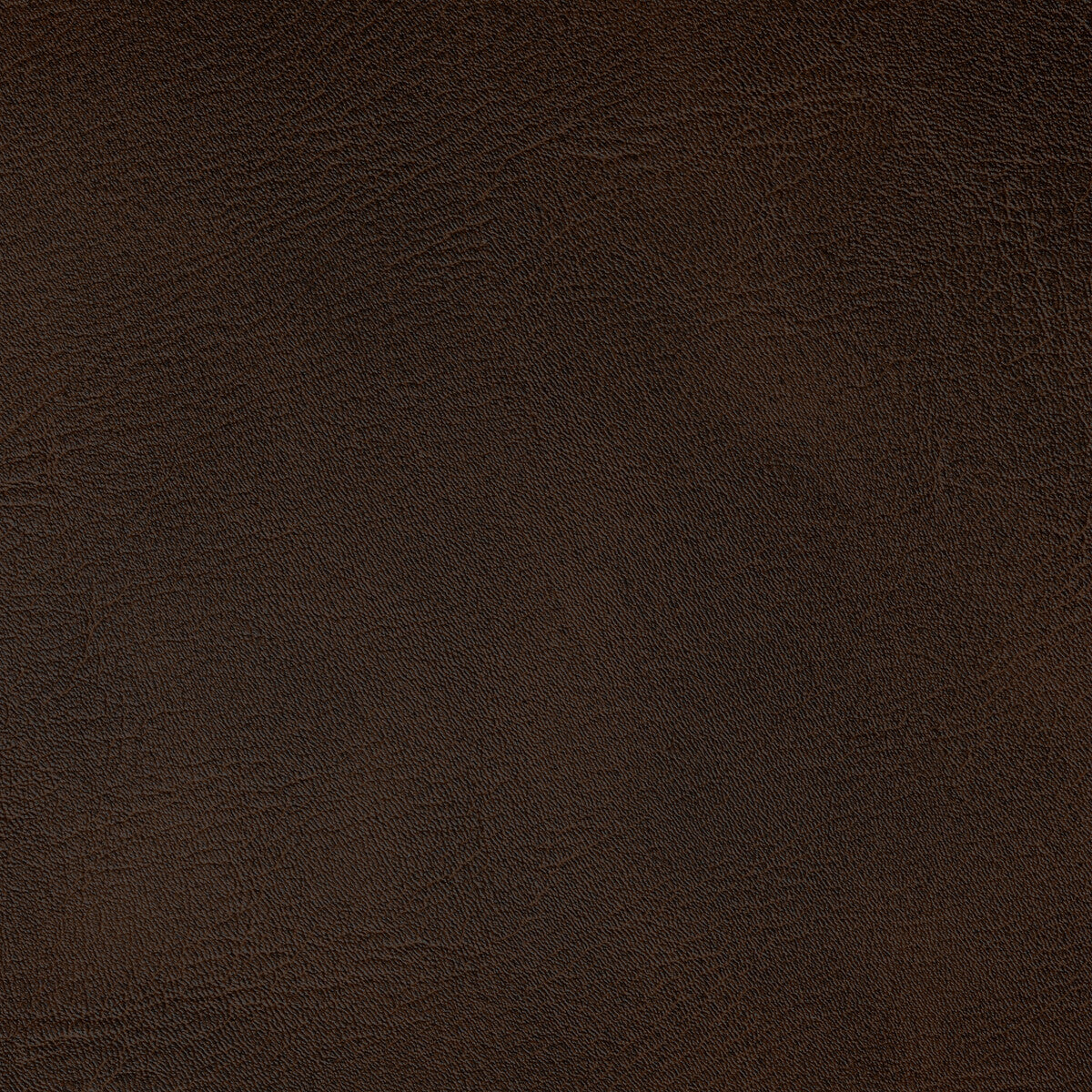 Spur-Java