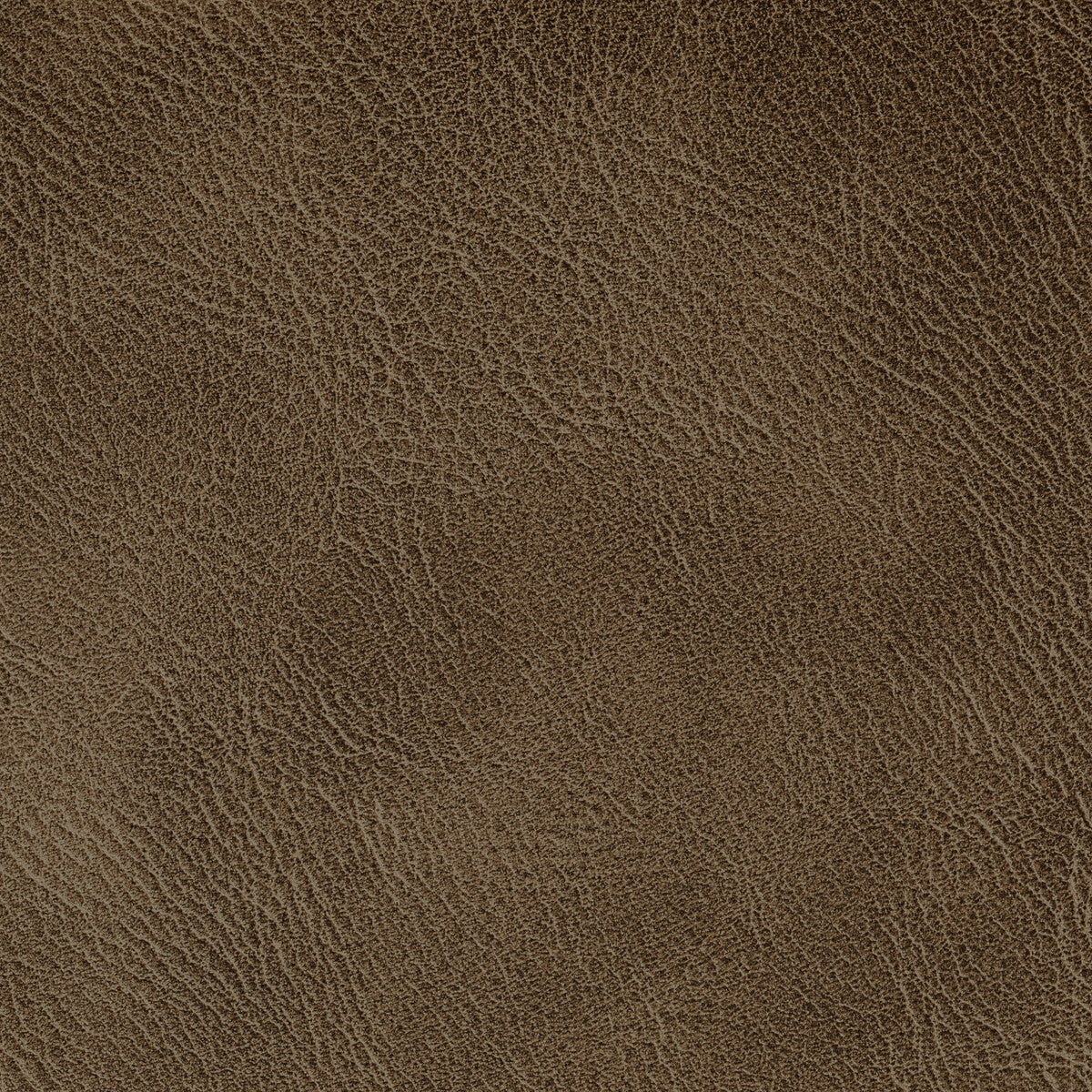 Spur-Pecan