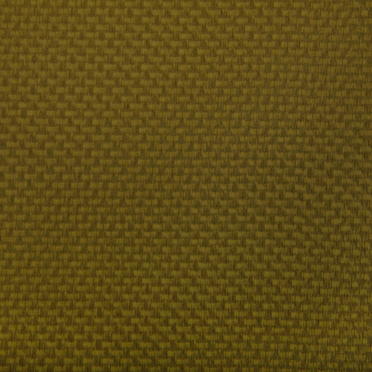 Stein-Wasabi