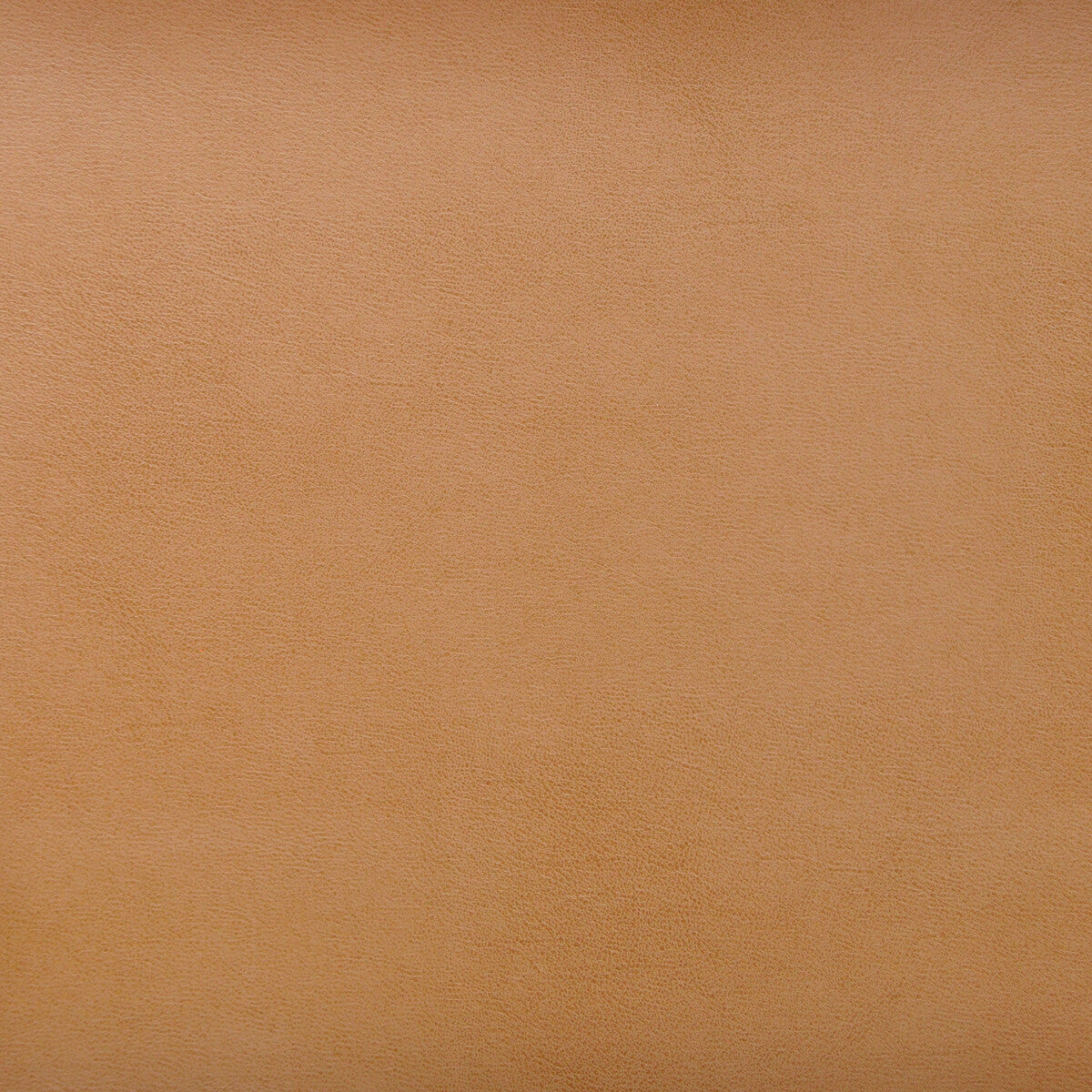 Kravet Design-Stereo-106