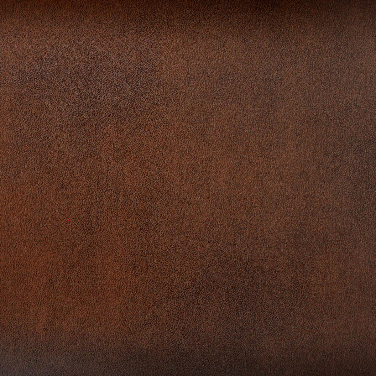 Kravet Design-Stereo-66