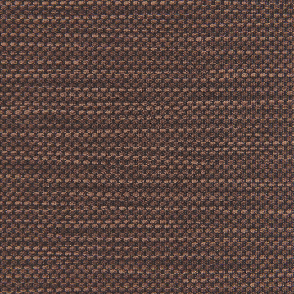 Stitch-Cacao