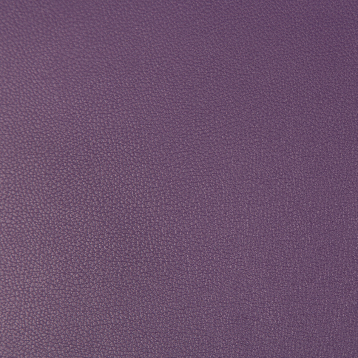 Syrus-Grape