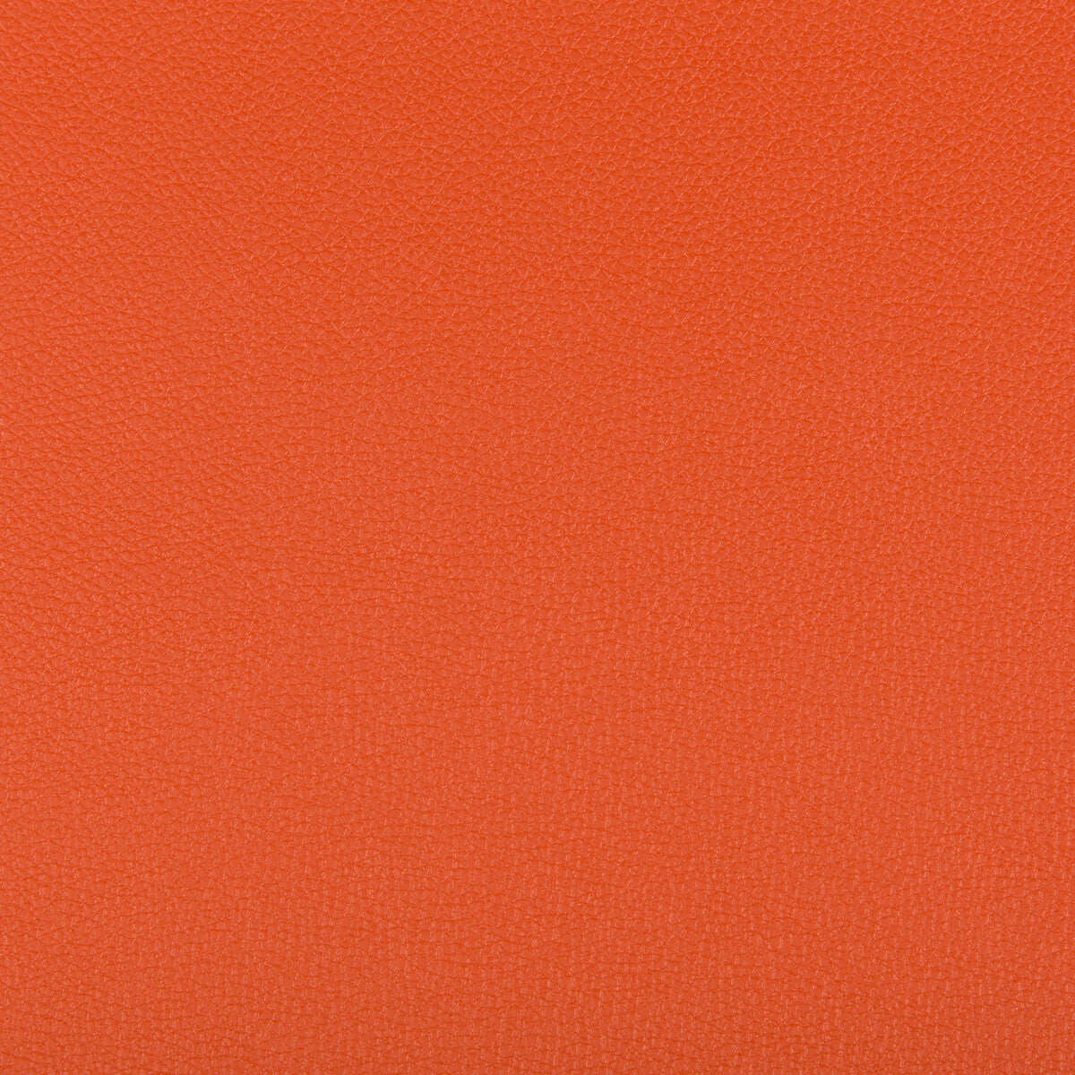 Syrus-Mandarin