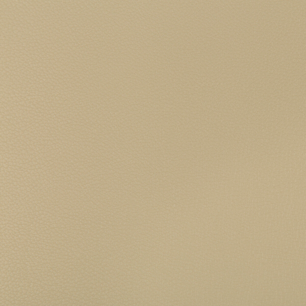 Syrus-Stucco