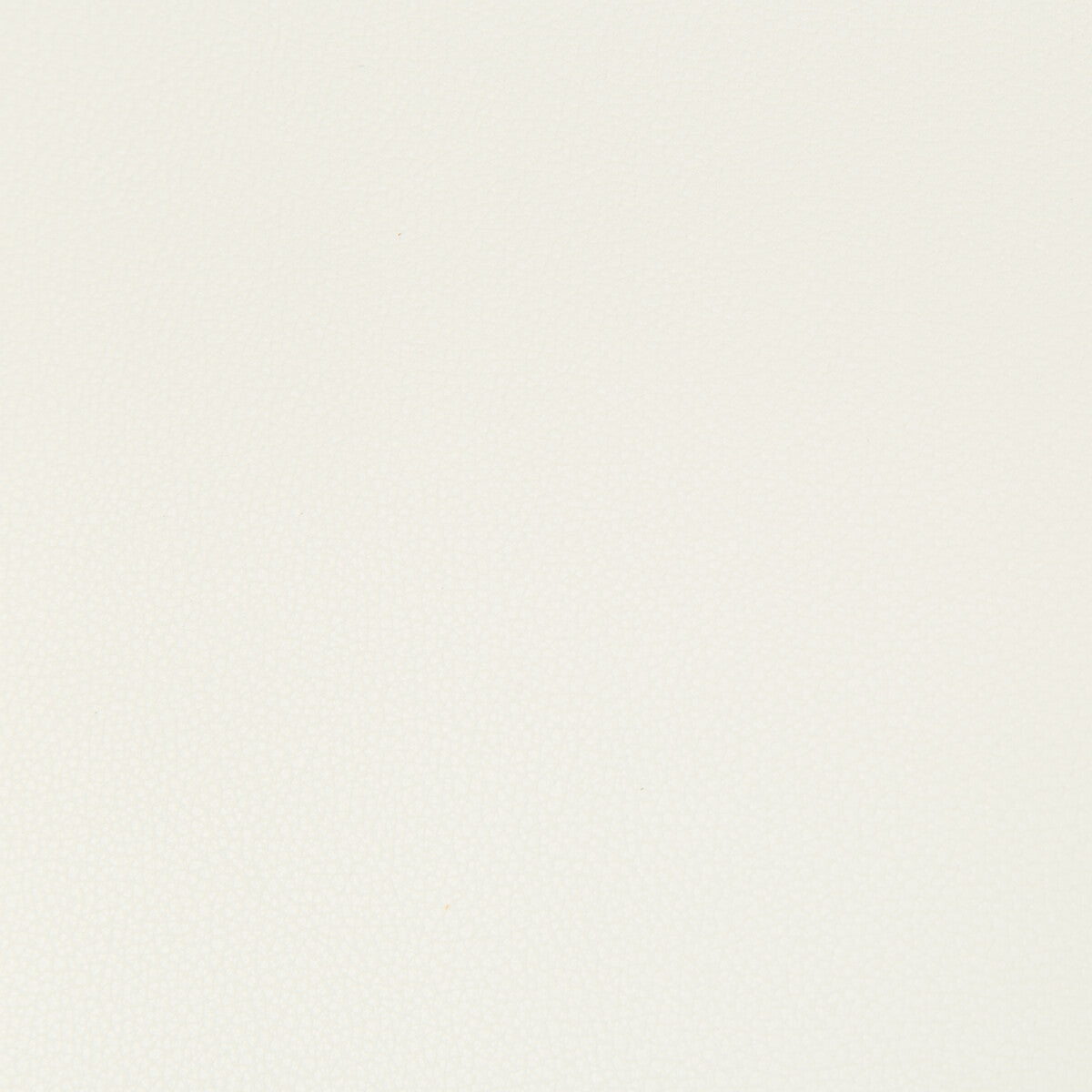 Syrus-Gesso