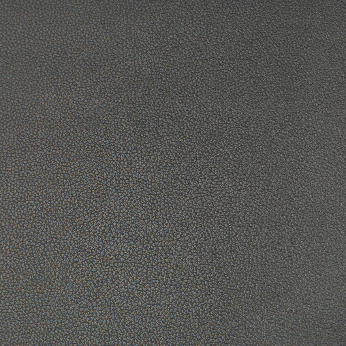 Syrus-Gunmetal