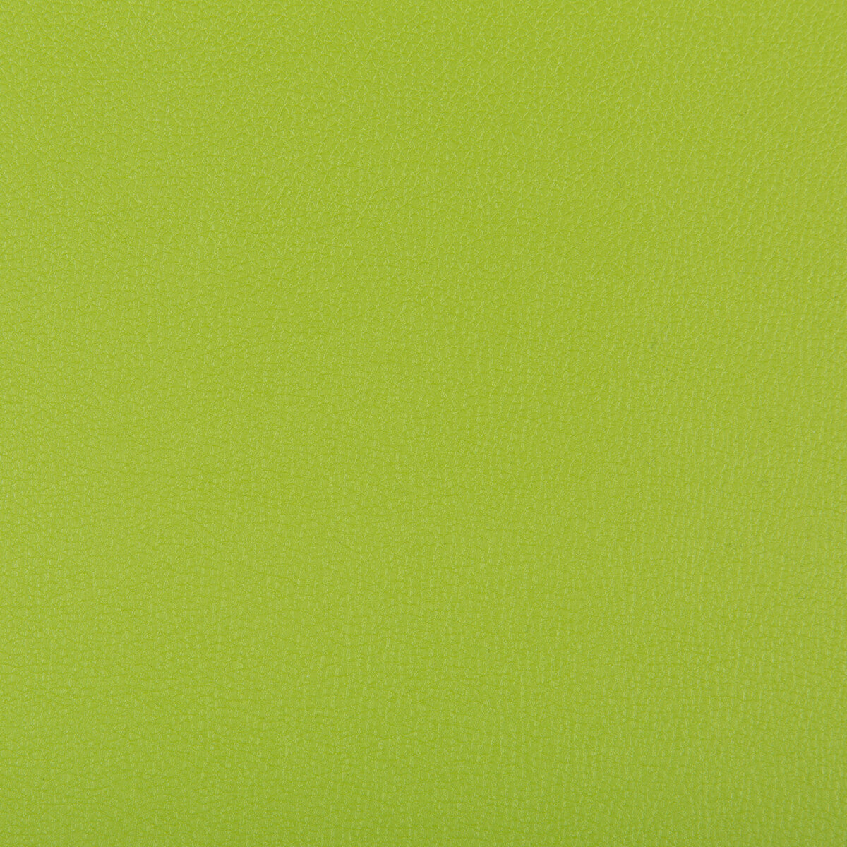 Syrus-Matcha