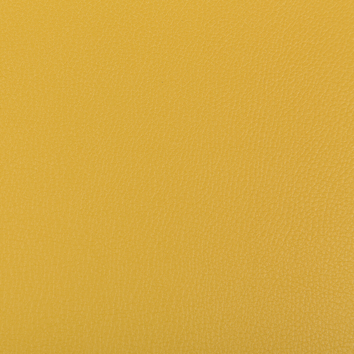 Syrus-Mustard
