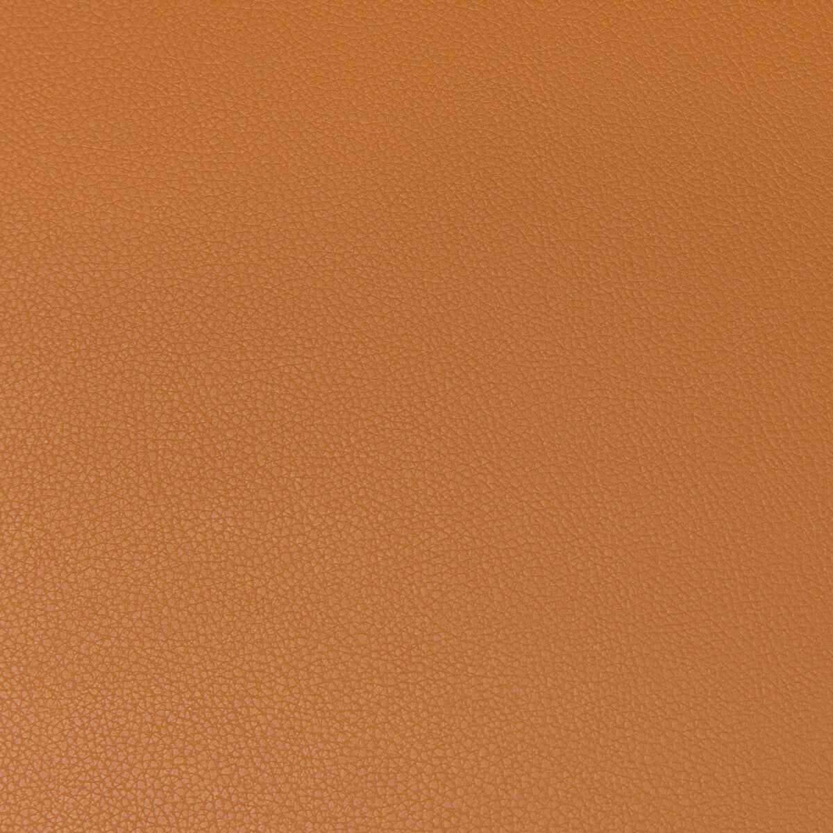 Syrus-Cognac