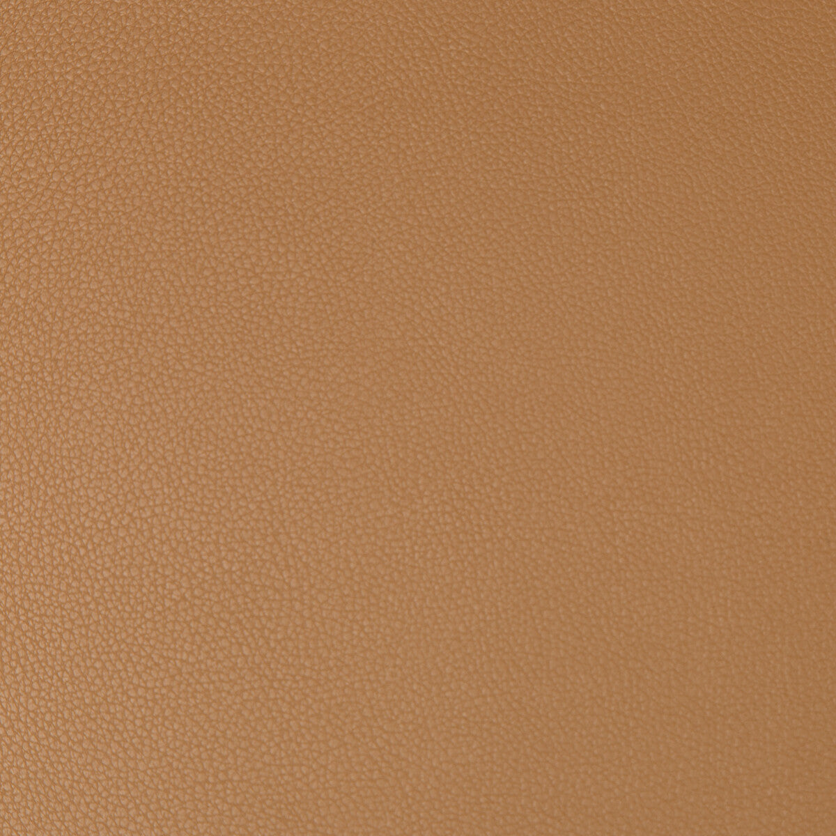 Syrus-Saddle