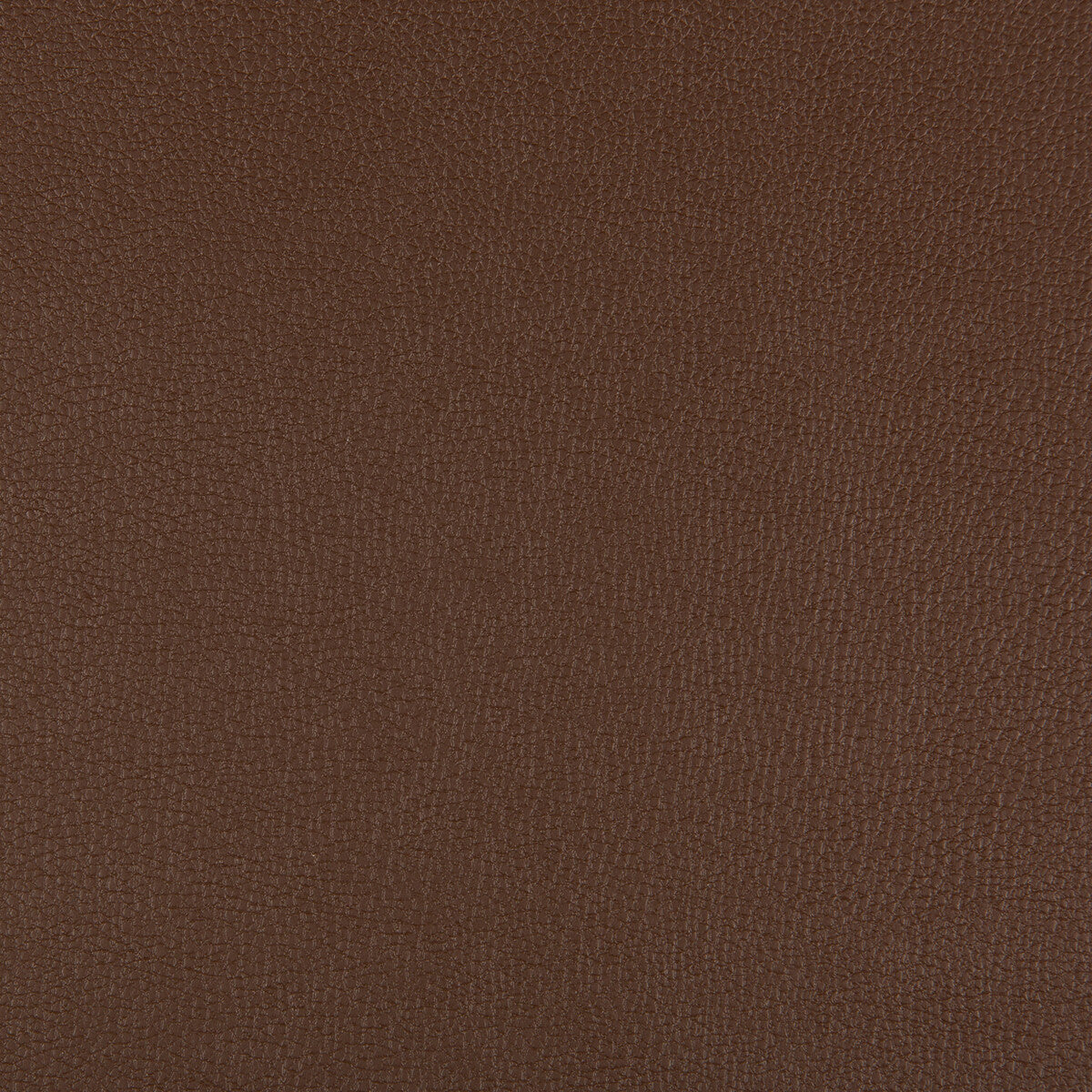 Syrus-Chocolate