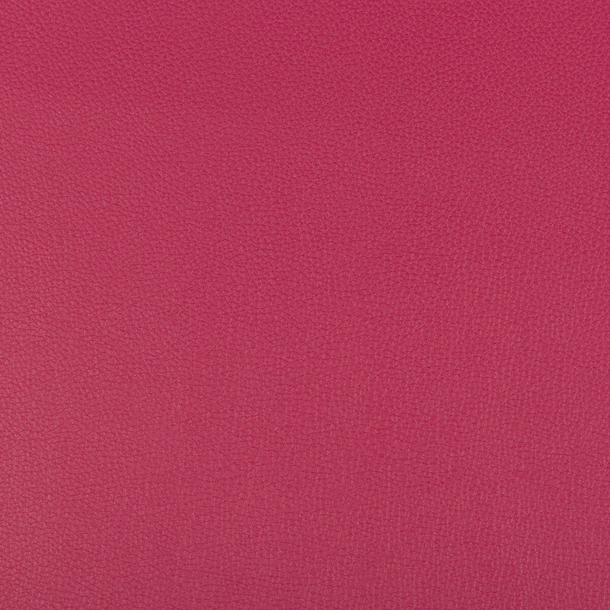 Syrus-Fuschia